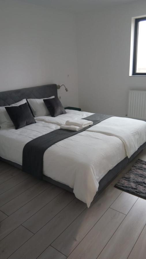 Apartalux Oradea Apartment Екстериор снимка